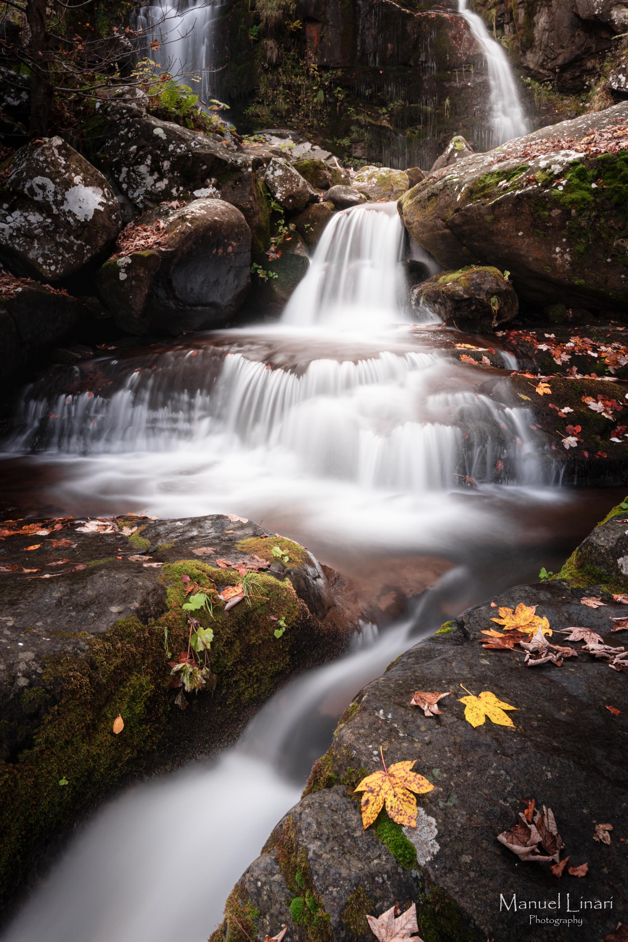 L'Eleganza dell'Acqua, una scena intima del torrente Dardagna fotografata da Manuel Linari