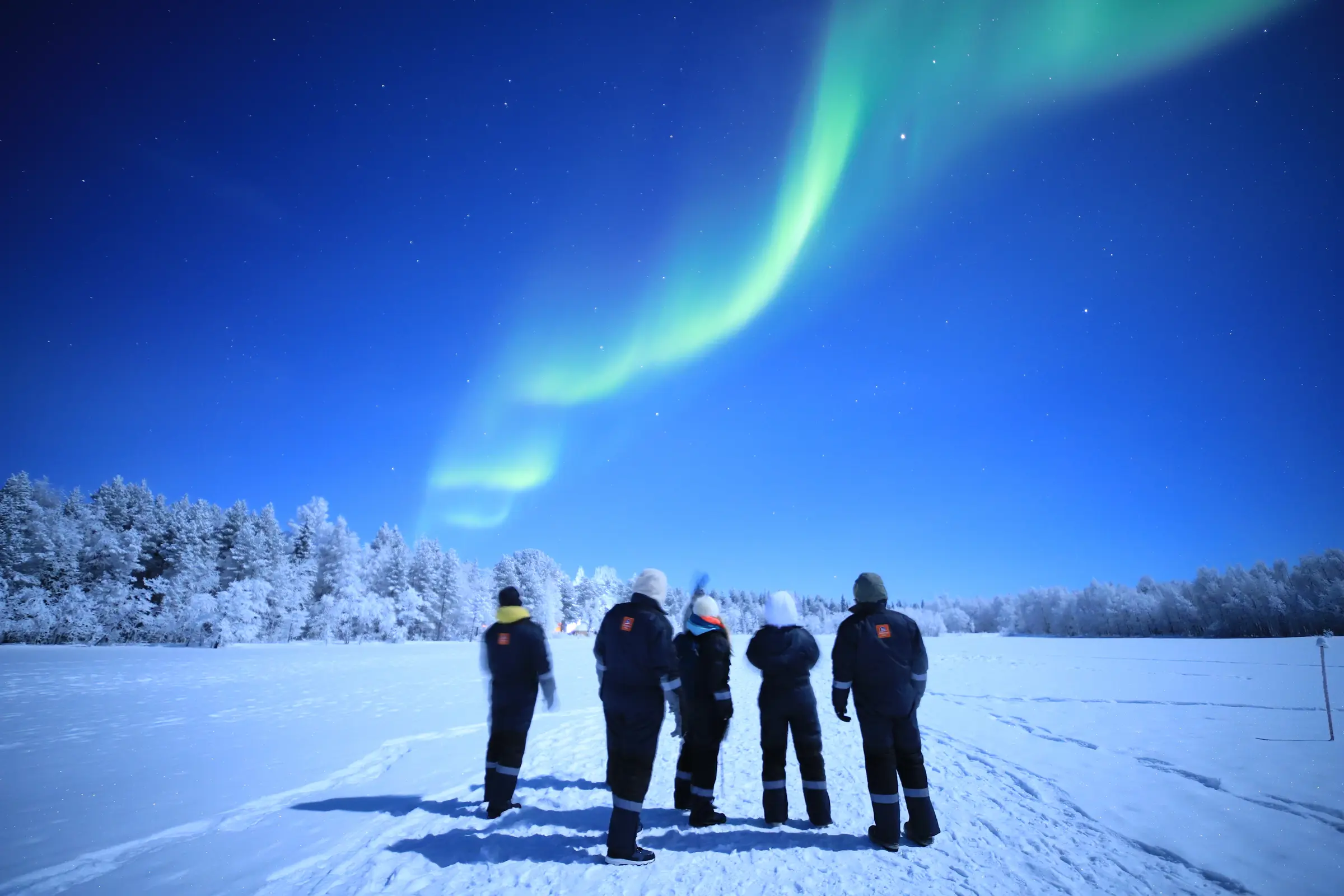 Gruppo sotto l'aurora boreale in Lapponia