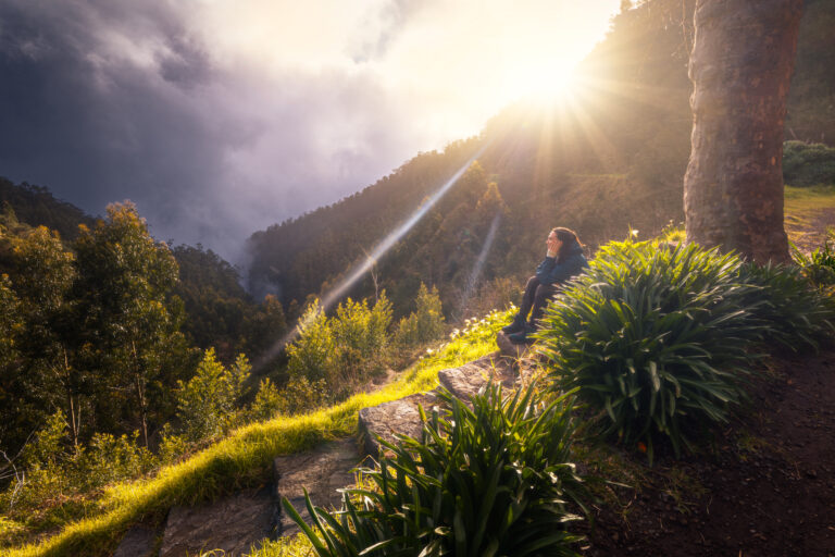 Madeira Travel Notes