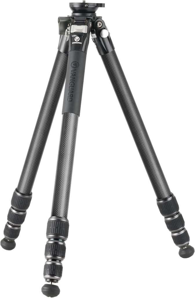 Vanguard Alta Pro 3VL 264 CT (Ambassador)